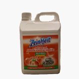 dishwashing-liquid-strawberry-original-5L